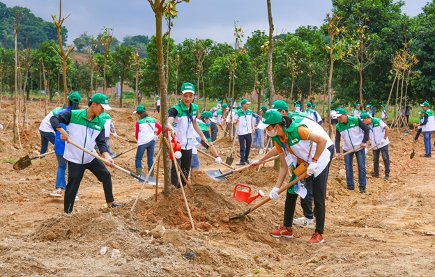 Đẩy mạnh vai trò của doanh nghiệp trong bảo vệ môi trường