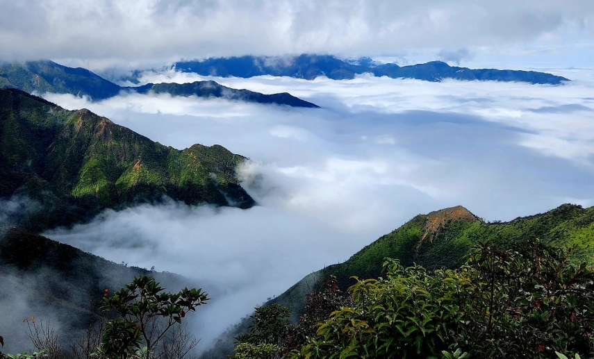 Đến Tà Xùa trốn nóng những ngày hè