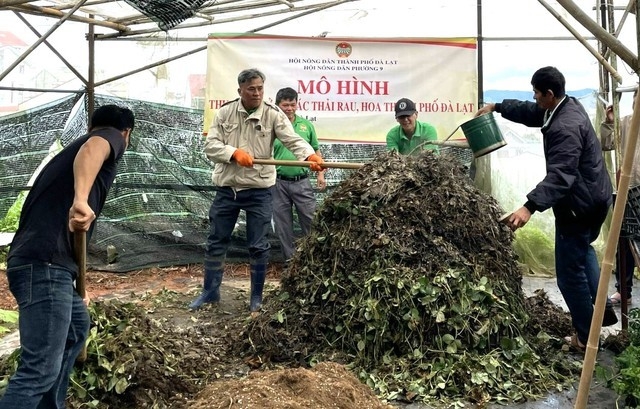 Đà Lạt: Biến lá dâu tây từ phụ phẩm nông nghiệp thành phân hữu cơ bảo vệ môi trường