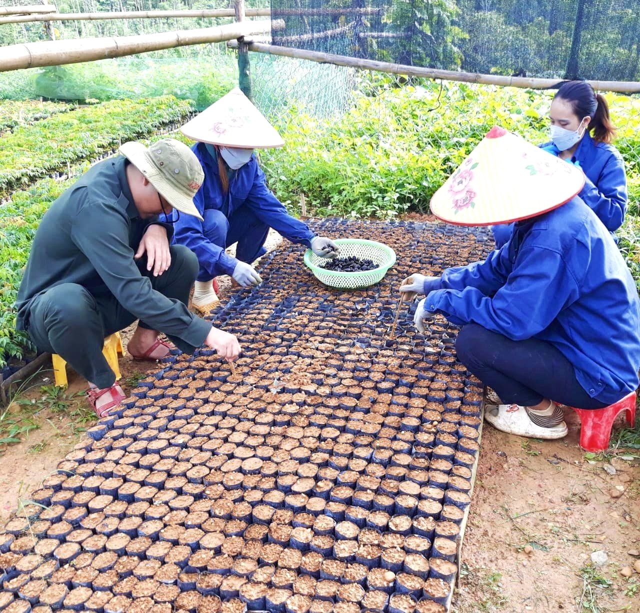 BQLRPH huyện Tây Giang tăng cường thực hiện công tác vườn ươm nhằm cung cấp cây giống trong việc thực hiện công tác phát triển rừng.