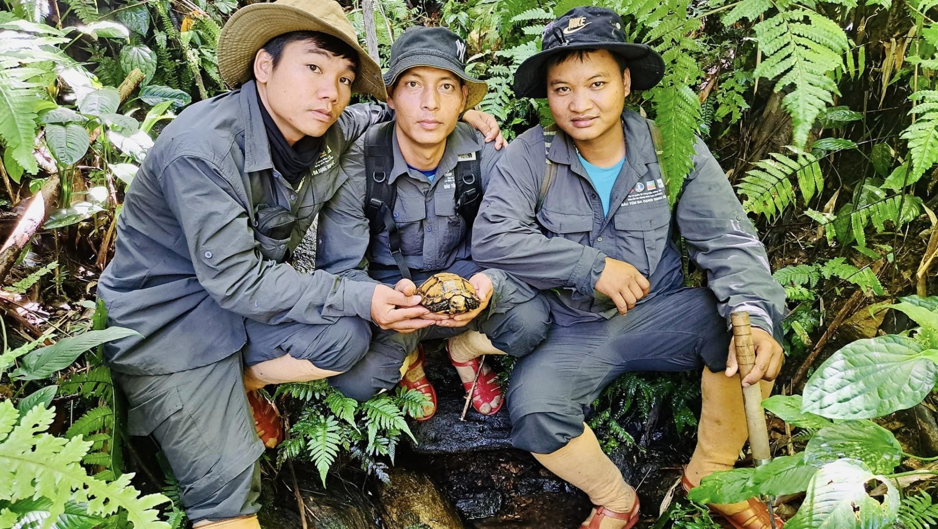 Giải cứu thành công cá thể Rùa bị mắc bẫy.