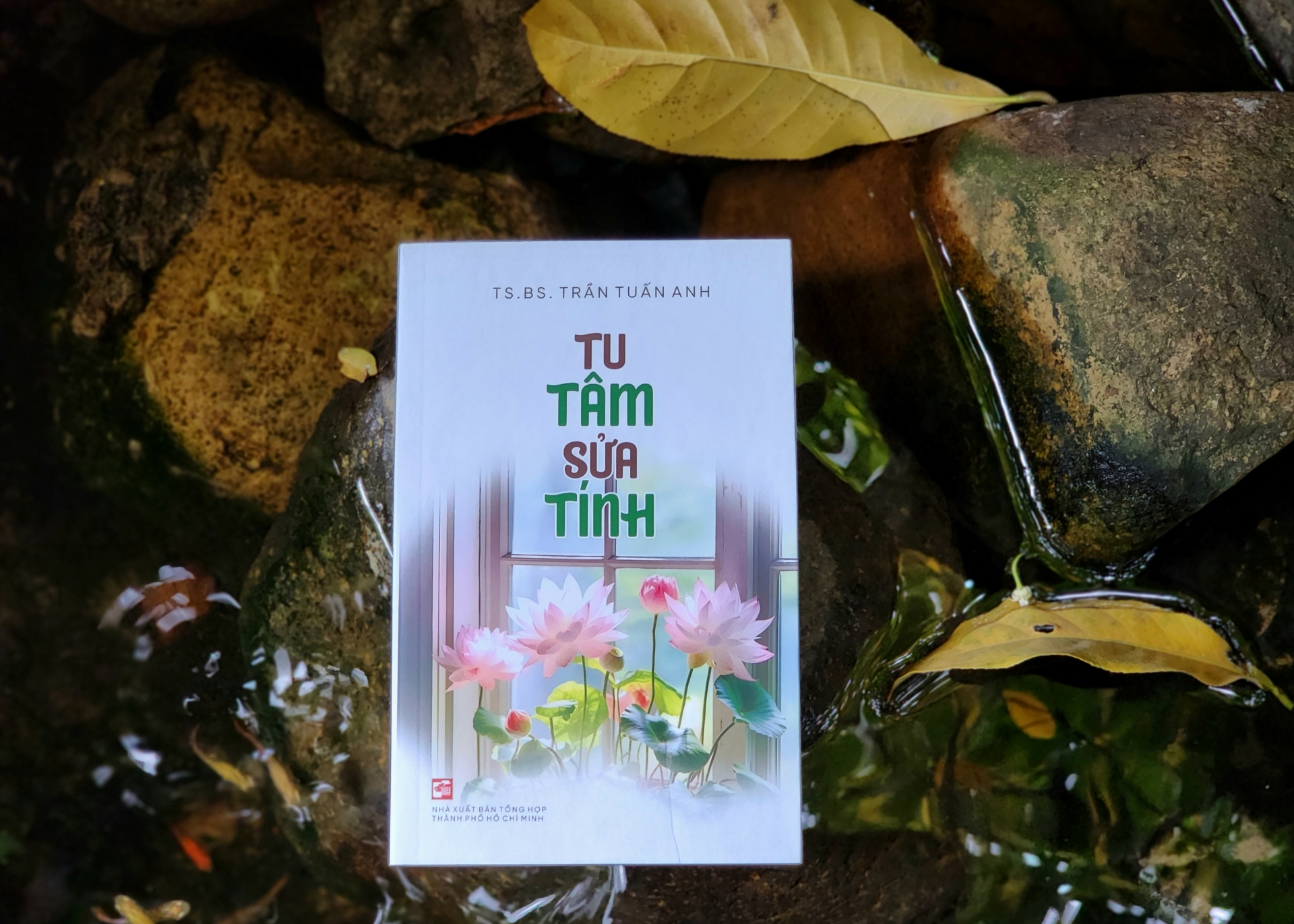 “Tu tâm sửa tính” để cân bằng cuộc sống